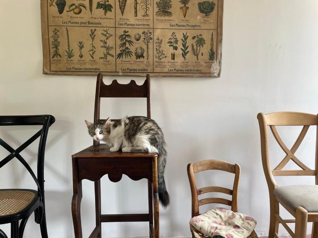 La Chaise Haute Hagetmau Exterior foto